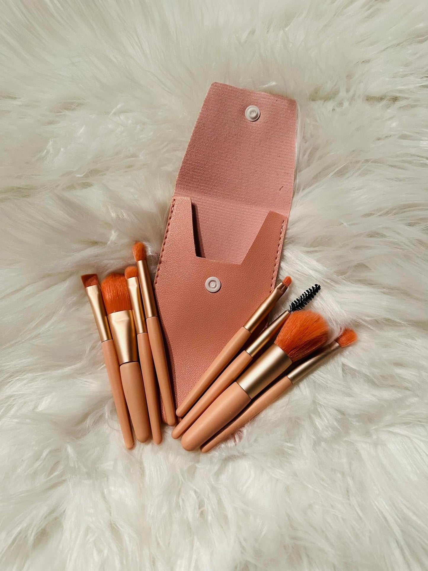 Make Up Brush Travel Set